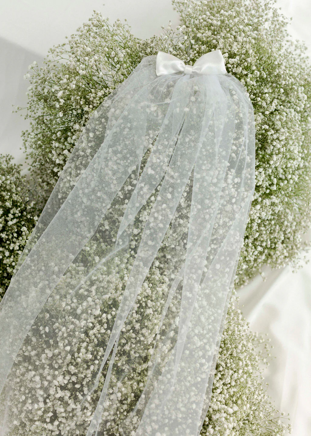 Audrey Veil - Image 5