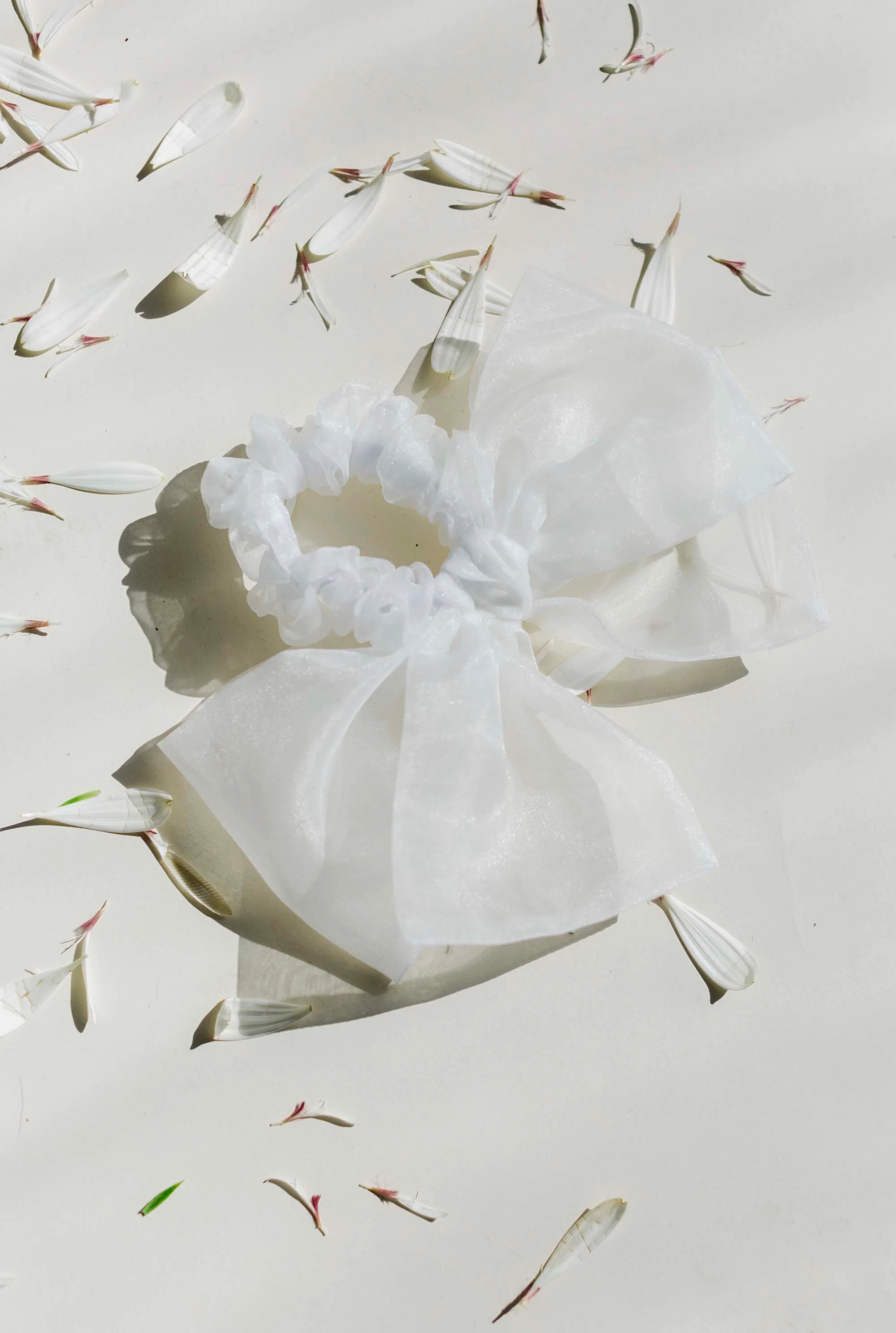Chubby Bow - Image 4